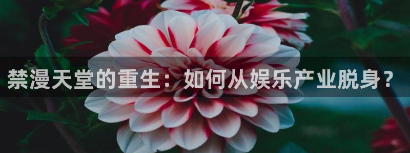 omofun安卓：禁漫天堂的重生：如何从娱乐产业脱身？