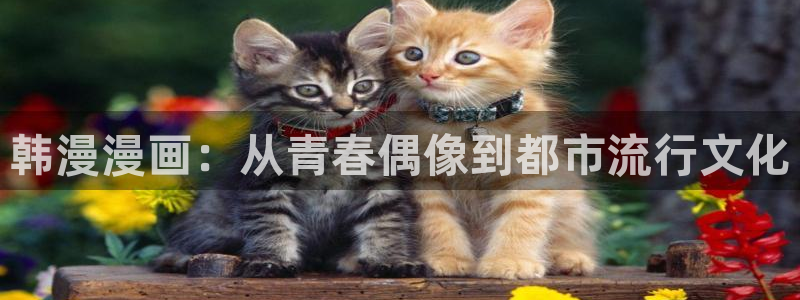 omofun下载：韩漫漫画：从青春偶像到都市流行文化