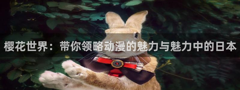 omofun纯净版下载：樱花世界：带你领略动漫的魅力与魅力中的日本