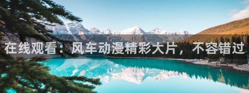 omofun轻量版：在线观看：风车动漫精彩大片，不容错过
