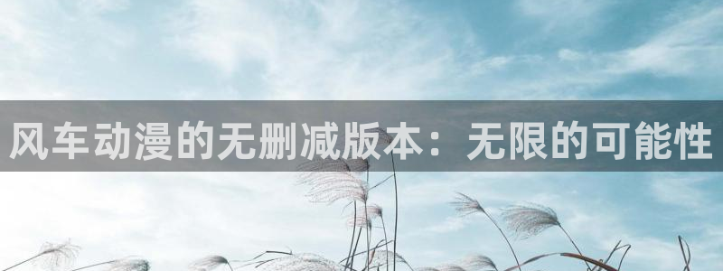 omofun 在线观看：风车动漫的无删减版本：无限的可能性
