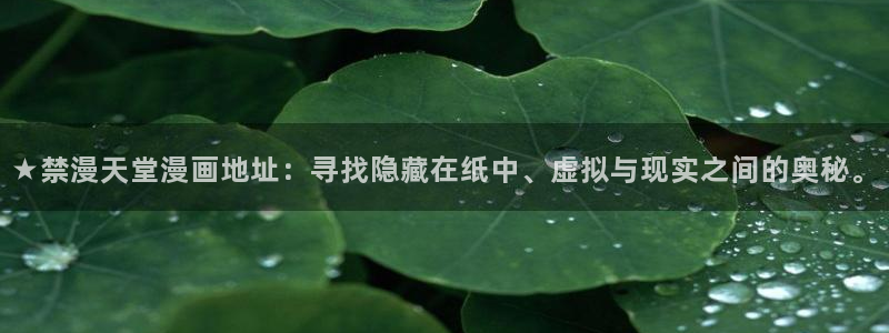 omofun网页版登录入口：★禁漫天堂漫画地址：寻找隐藏在纸中、虚拟与现实之间的奥秘。