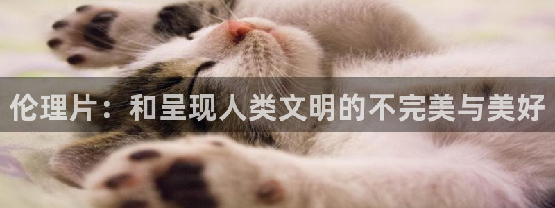 omofun网站：伦理片：和呈现人类文明的不完美与美好