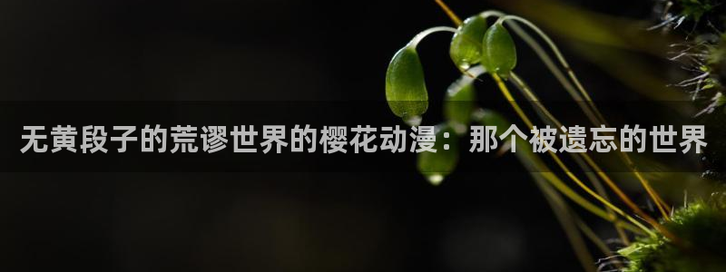 omofun.worko：无黄段子的荒谬世界的樱花动漫：那个被遗忘的世界