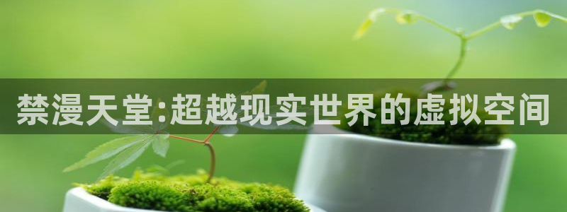omofun纯净版下载：禁漫天堂:超越现实世界的虚拟空间