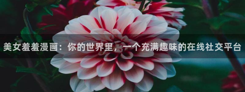 韩漫漫画正版下载入口：美女羞羞漫画：你的世界里，一个充满趣味的在线社交平台