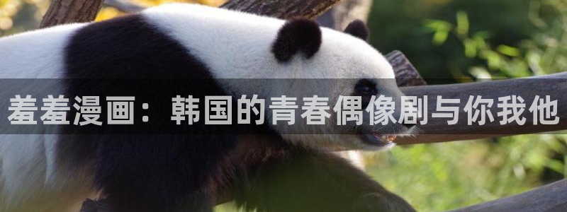 omofun动漫视频网：羞羞漫画：韩国的青春偶像剧与你我他